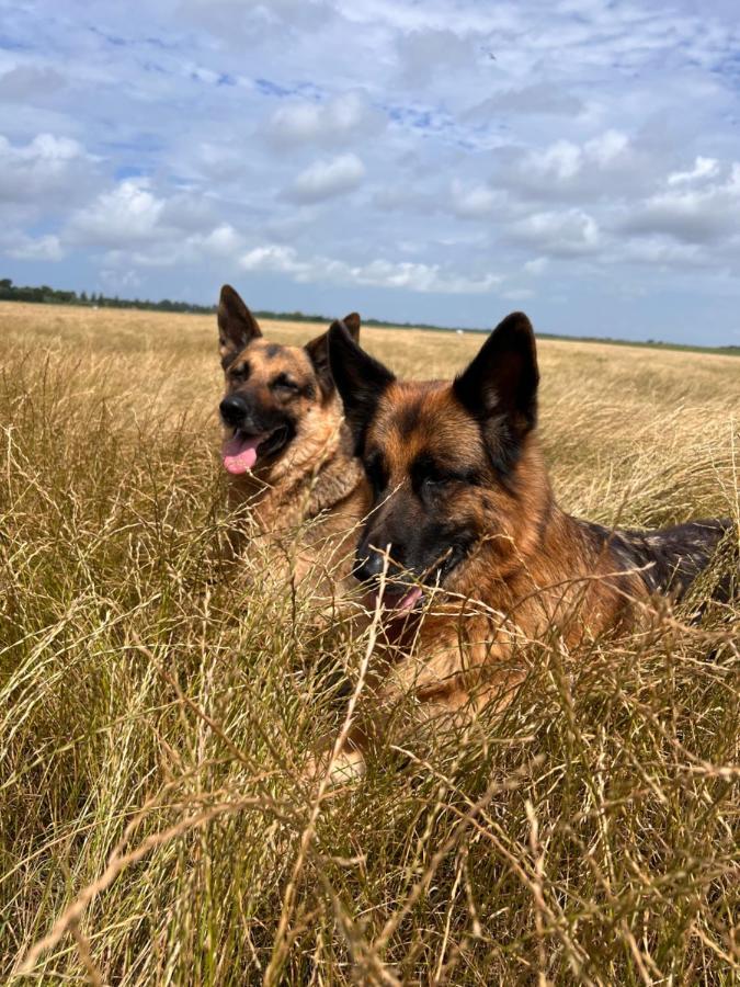 Wandelen In Zeeland Bed & Breakfast เบิร์กฮามสเตเดอ ภายนอก รูปภาพ